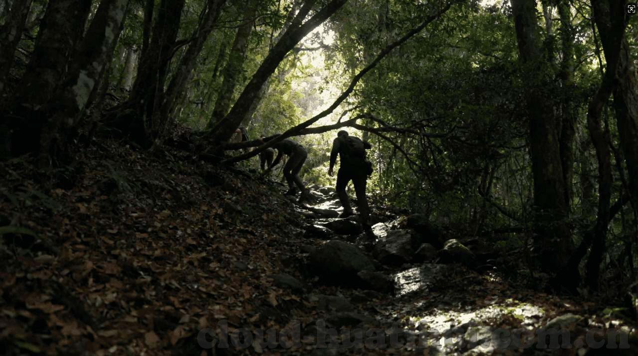 开云在线游戏官网-开云在线游戏——畅玩无阻的虚拟世界